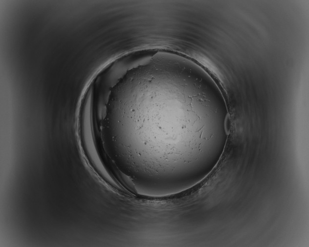 X0000095941088200801111325