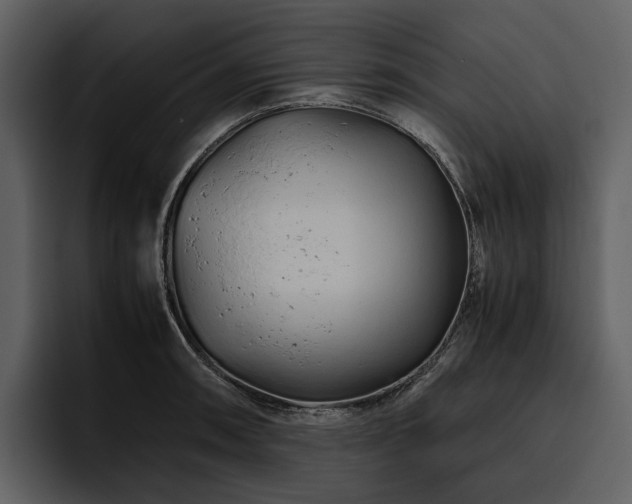 X0000095941090200801111325
