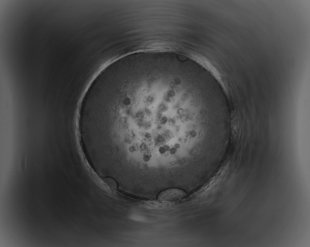X0000095941091200801111325