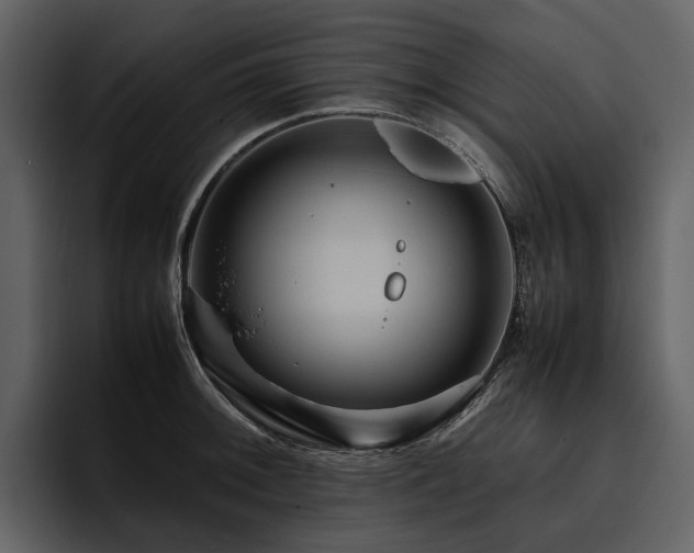 X0000095941092200801111325