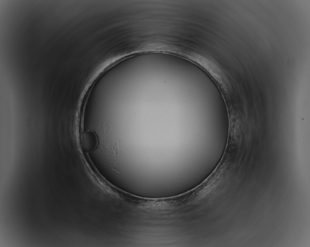 X0000095941094200801111325