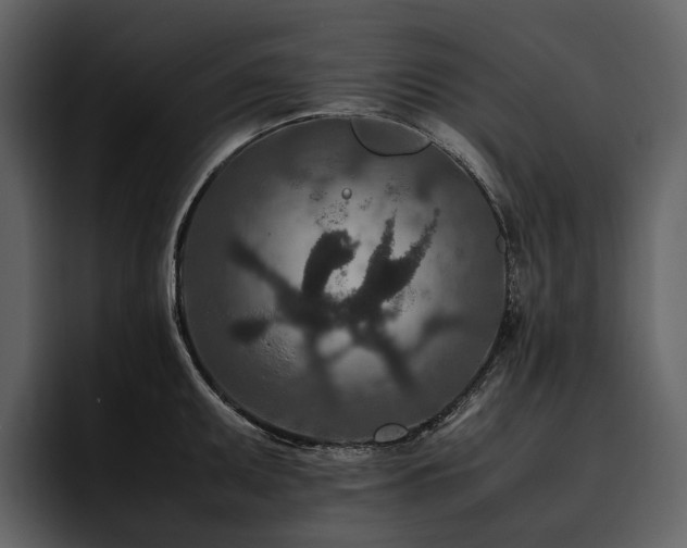 X0000095941095200801111325