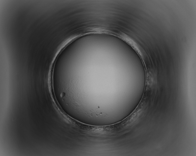 X0000095941098200801111325