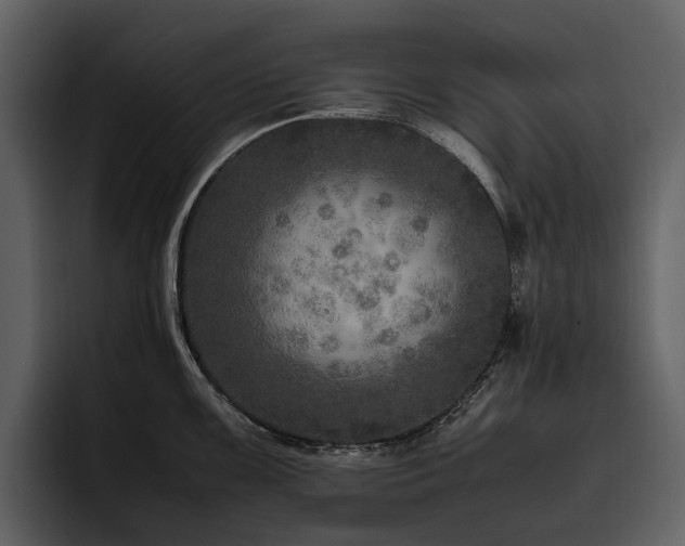 X0000095941099200801111325