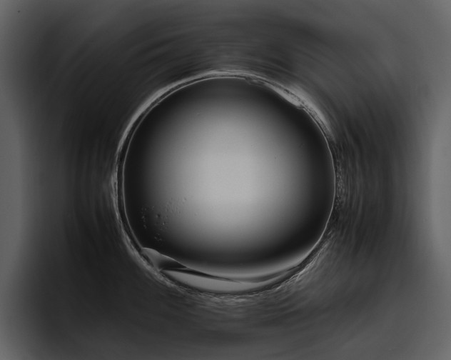 X0000095941100200801111325