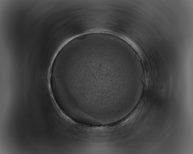 X0000095941102200801111325
