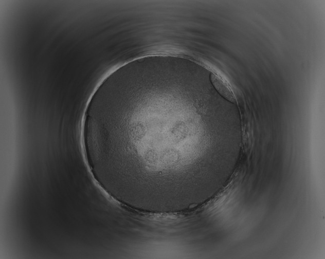 X0000095941103200801111325