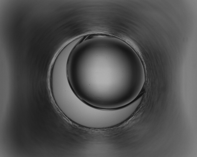 X0000095941104200801111325