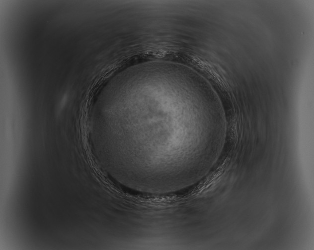 X0000095941105200801111324