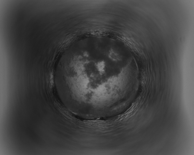 X0000095941106200801111324