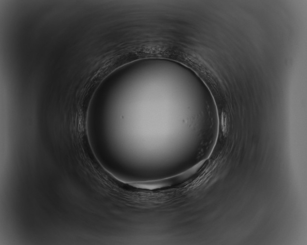 X0000095941107200801111324