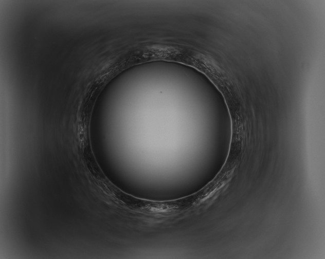 X0000095941109200801111324