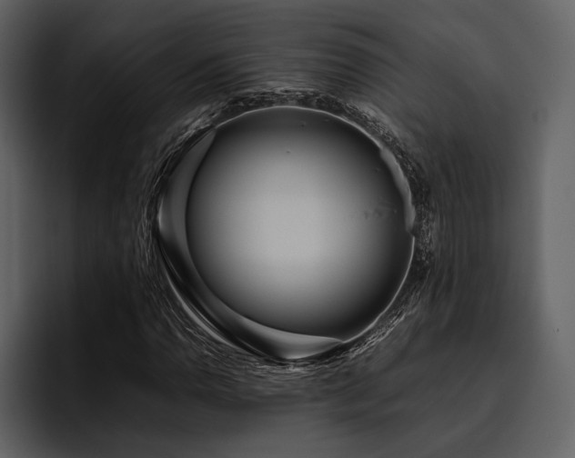 X0000095941110200801111324