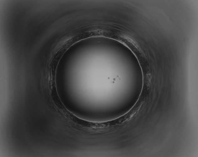 X0000095941111200801111324