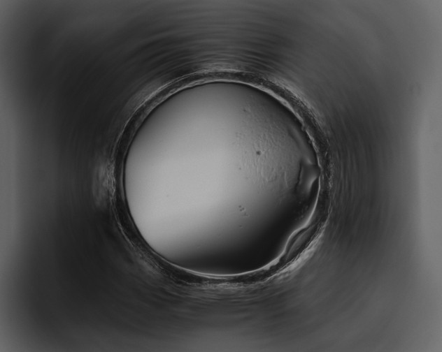 X0000095941113200801111324