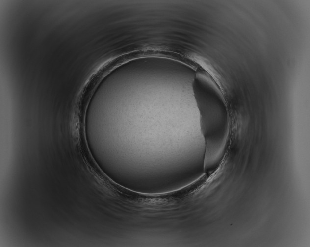X0000095941115200801111324