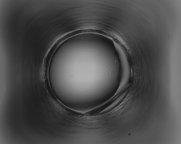 X0000095941116200801111324