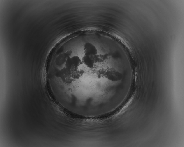 X0000095941117200801111324