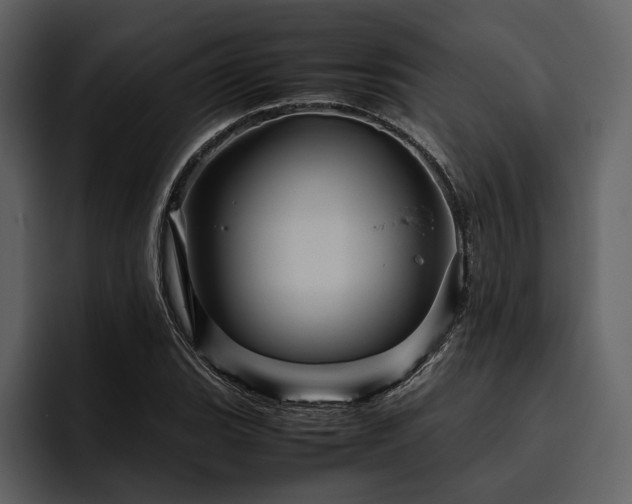 X0000095941119200801111324