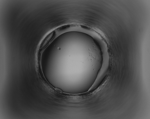 X0000095941120200801111324