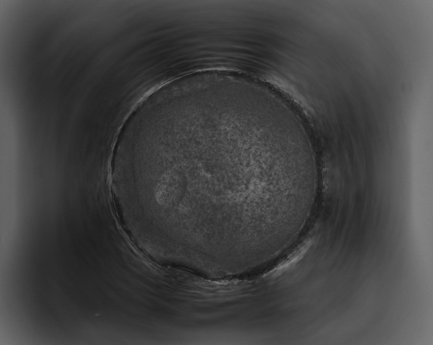 X0000095941121200801111324