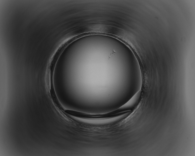 X0000095941123200801111324