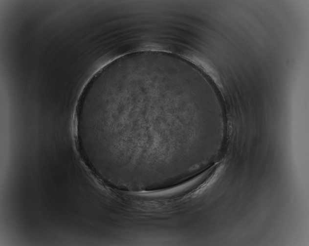X0000095941125200801111324