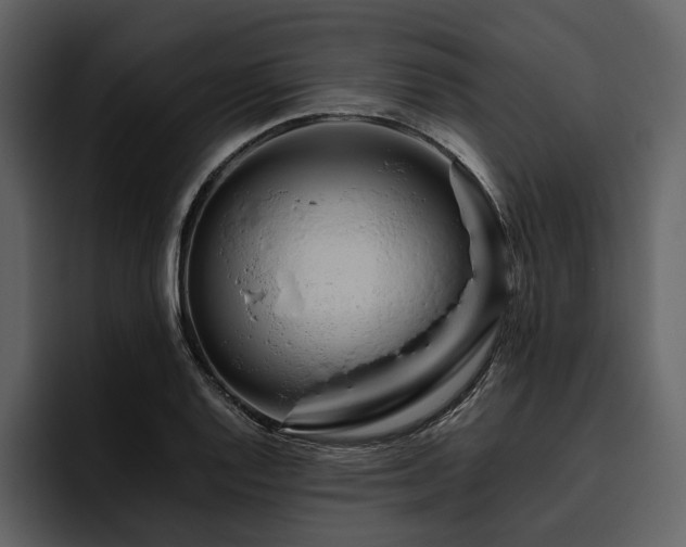 X0000095941128200801111324