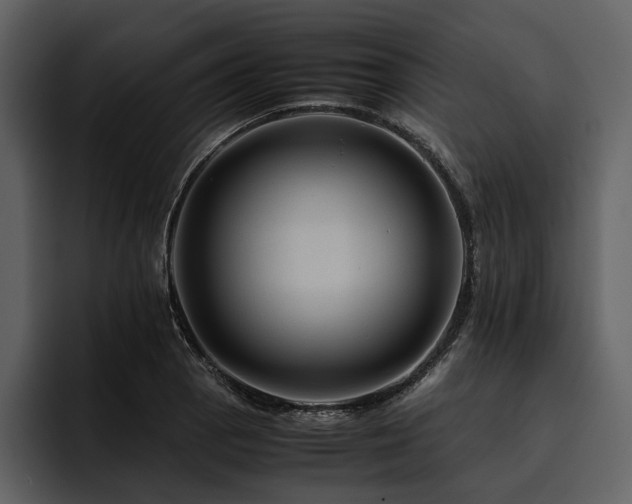 X0000095941129200801111324