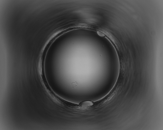 X0000095941131200801111324