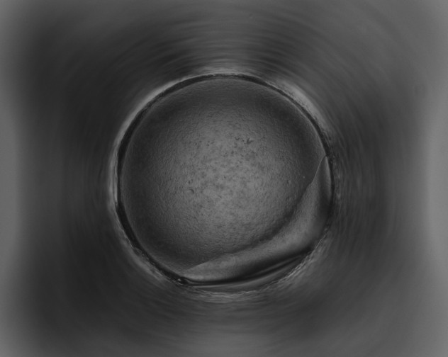X0000095941132200801111324
