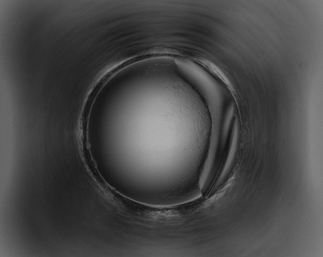 X0000095941133200801111324