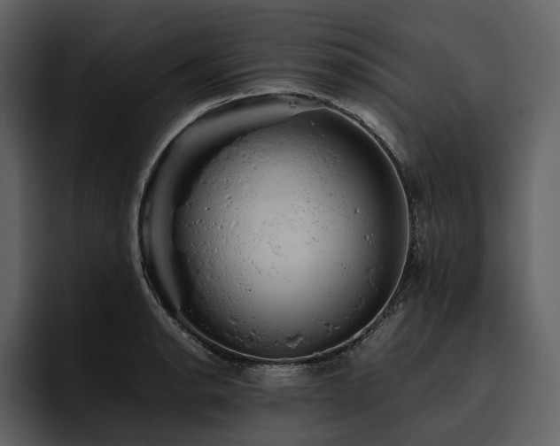 X0000095941134200801111324