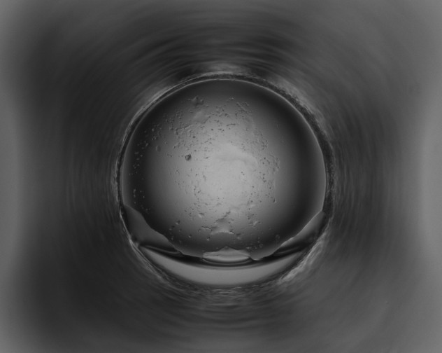 X0000095941137200801111324