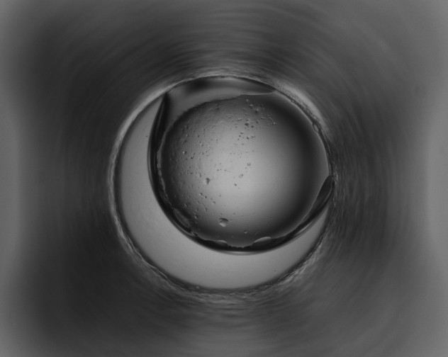 X0000095941138200801111324