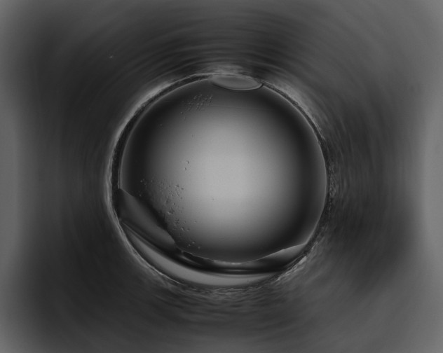 X0000095941139200801111325