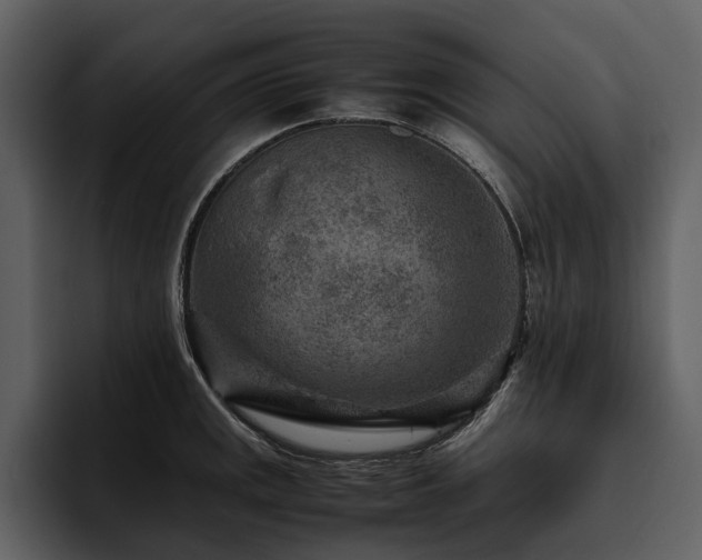 X0000095941141200801111325