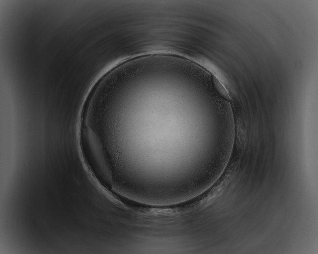 X0000095941142200801111325