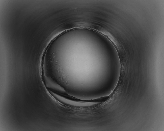 X0000095941143200801111325