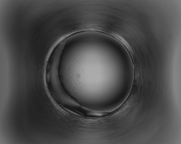 X0000095941144200801111325