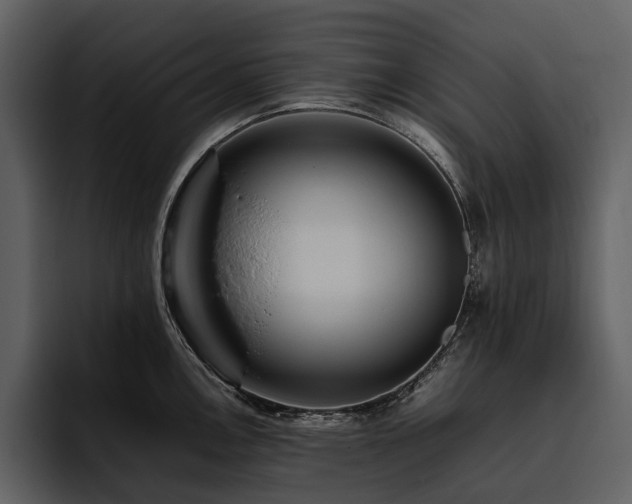 X0000095941146200801111325