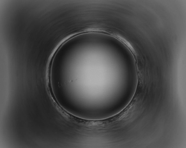 X0000095941148200801111325