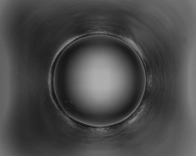 X0000095941149200801111325