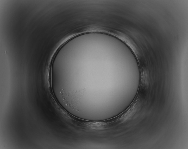 X0000095941150200801111325