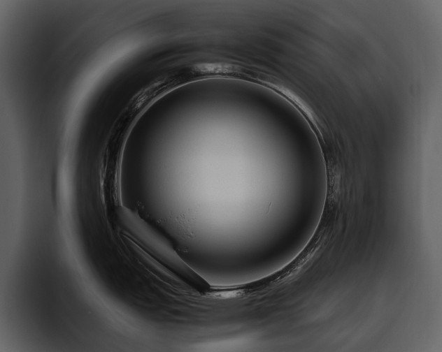 X0000095941151200801111325