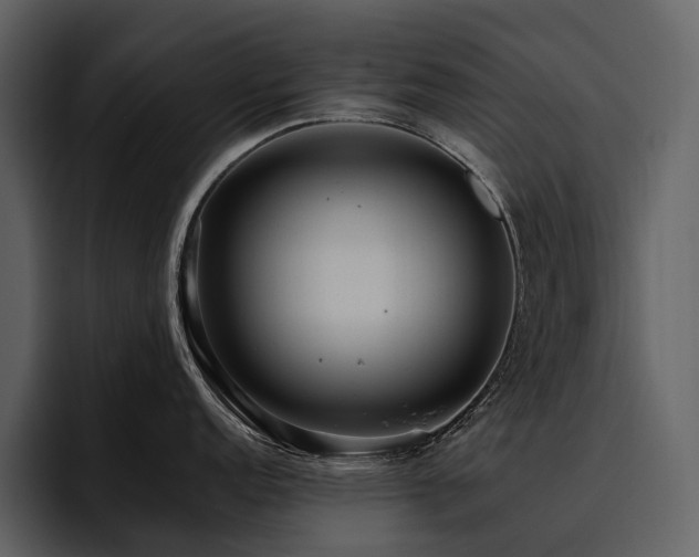 X0000095941152200801111325