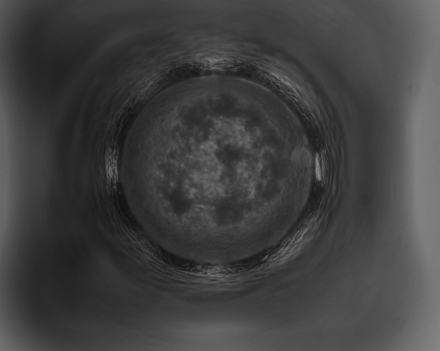 X0000095941155200801111324