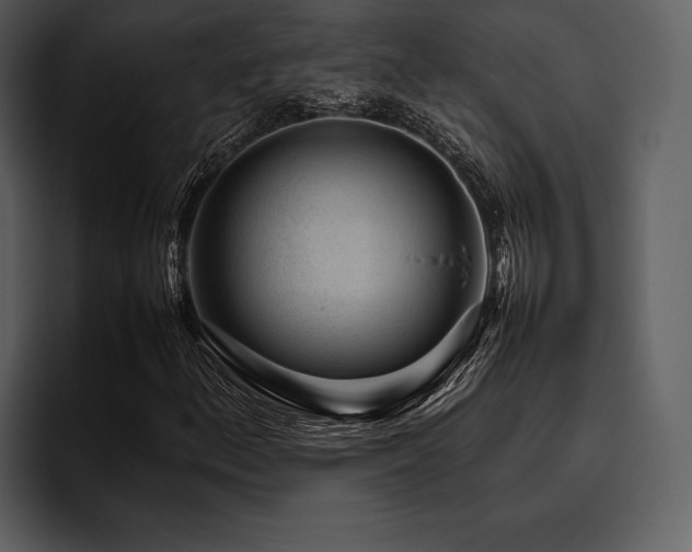X0000095941156200801111324