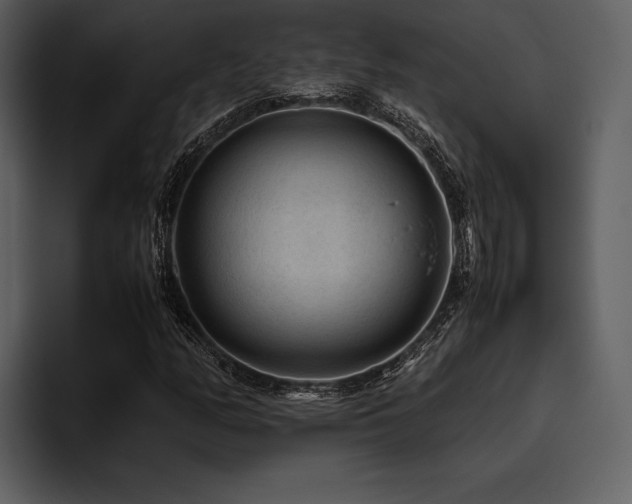 X0000095941158200801111324