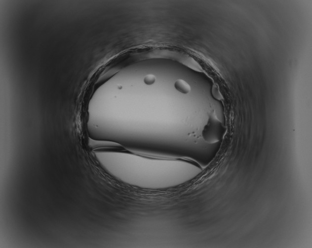 X0000095941160200801111324